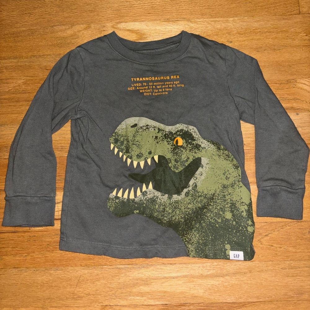 Toddler Boy Shirt
